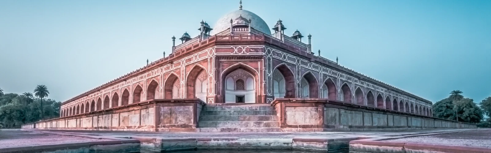 Best Street Foods to Try in Delhi, India